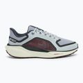 Nike Pegasus 41 GTX men's running shoes light pumice/ burgundy crush/ dark smoke grey/ ashen slate 2