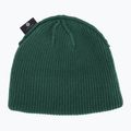 Nike Terra Futura 365 Short-Cuff winter beanie fir 4