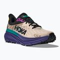 HOKA Challenger ATR 7 oatmeal/mountain iris men's running shoes 8