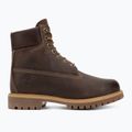 Men's shoes Timberland 6In Premium brown 2