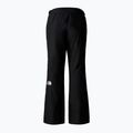 Women's ski trousers The North Face Dawnstrike GTX Insulated black/npf 5