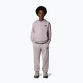 Children's sweatshirt The North Face Teen Simple Dome Hoodie moonstone grey 2