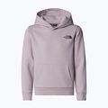 Children's sweatshirt The North Face Teen Simple Dome Hoodie moonstone grey 4