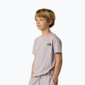Children's T-shirt The North Face Teen Simple Dome Tee moonstone grey