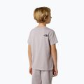 Children's T-shirt The North Face Teen Simple Dome Tee moonstone grey 3