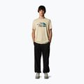 Men's T-shirt The North Face Mountain Line Tee gravel 2