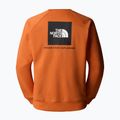 Men's sweatshirt The North Face Raglan Box Nse Crew iron bronze/tnf black 2