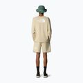 Men's longsleeve The North Face Easy Tee gravel 2