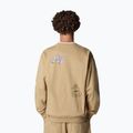The North Face Mountain Cleanup Over khaki stone sweatshirt 3