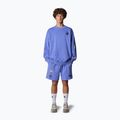 The North Face Mountain Cleanup sweatshirt over virtual blue 2