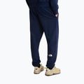 Men's trekking trousers The North Face Simple Dome Light Regular Tapered Jogger summit navy 3
