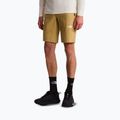 Men's trekking shorts The North Face Lightning SHT khaki stone/npf