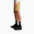 Men's trekking shorts The North Face Lightning SHT khaki stone/npf 4
