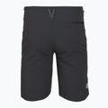 Men's trekking shorts The North Face Speedlight Slim Tapered Short asphalt grey/npf 2
