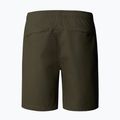 Men's shorts The North Face Limestone new taupe green 5