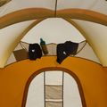 4-person camping tent The North Face Wawona 4P light exuberance orange/ timber tan/ new taupe green 12