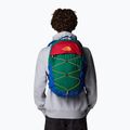 The North Face Borealis 28 l tnf blue/evergreen urban backpack 7