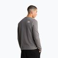 Men's sweatshirt The North Face Kecha Crew smoked pearl/asphalt grey 3