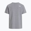 Men's T-shirt The North Face Evolution Half Dome tnf pale grey heather 5