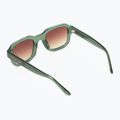 Vans 66 Sunglasses loden green 2
