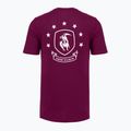 Men's training shirt Under Armour Project Rock Badge Of Honor purple 4