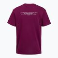 Men's training shirt Under Armour Project Rock Terry Q3 purple 2