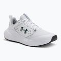 Men's training shoes Under Armour Commit 4 white/mod gray/forest green