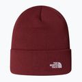 Winter hat The North Face Norm Beanie sumac