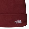Winter hat The North Face Norm Beanie sumac 2