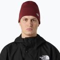 Winter hat The North Face Norm Beanie sumac 3