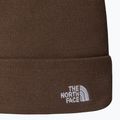 Winter hat The North Face Norm Beanie smokey brown 2