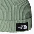 Children's winter hat The North Face Salty Lined 2