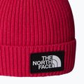 Children's winter hat The North Face Logo Box Cuffed 2