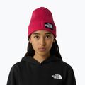 The North Face Logo Box Cuffed Children's Winter Cap 3