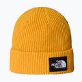 The North Face Salty Lined winter beanie