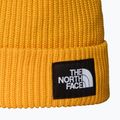 The North Face Salty Lined winter beanie 2