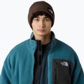 The North Face Salty Lined winter beanie 4