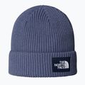 Winter hat The North Face Salty Lined