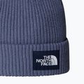 Winter hat The North Face Salty Lined 2
