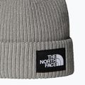 The North Face Salty Lined winter beanie 2