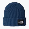 The North Face Salty Lined winter beanie