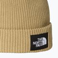 The North Face Salty Lined winter beanie 2