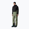 Men's ski trousers The North Face Summit Tsirku GTX Pro Bib bark mist/black