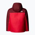 Children's ski jacket The North Face Freedom Insulated sumac/ red 6