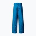 Children's ski trousers The North Face Freedom Insulated dusk blue 5