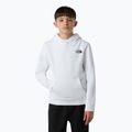 The North Face Teen Redbox Regular P/O children's sweatshirt white/black 4