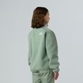 Children's fleece sweatshirt The North Face Yumiori Full Zip slate moss/white dune 3