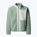 Children's fleece sweatshirt The North Face Yumiori Full Zip slate moss/white dune 5
