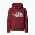 Children's sweatshirt The North Face Teen Drew Peak Pullover Hoodie sumac