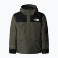 Children's rain jacket The North Face Mountain Down new taupe green